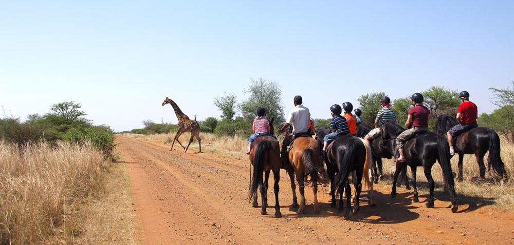 Horseback riders watching a giraffe on the Sondela Nature Reserve