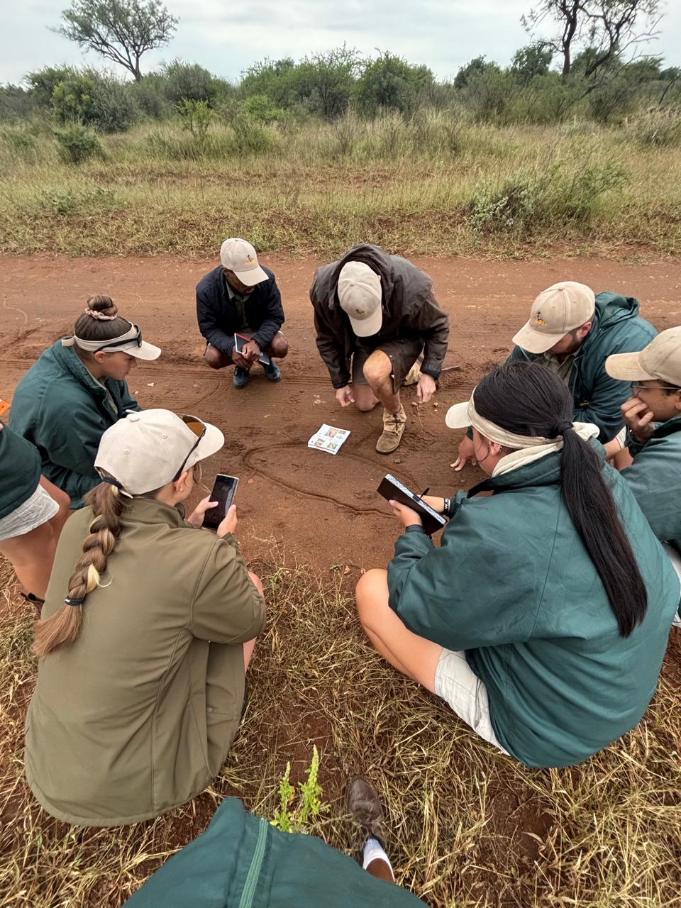 Sondela Academy conservation students learning animal tracking in the bushveld